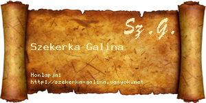 Szekerka Galina névjegykártya